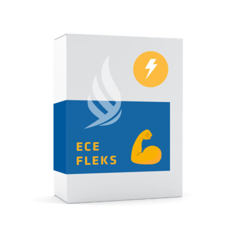 Električna energija – Akcijska ponudba ECE FLEKS