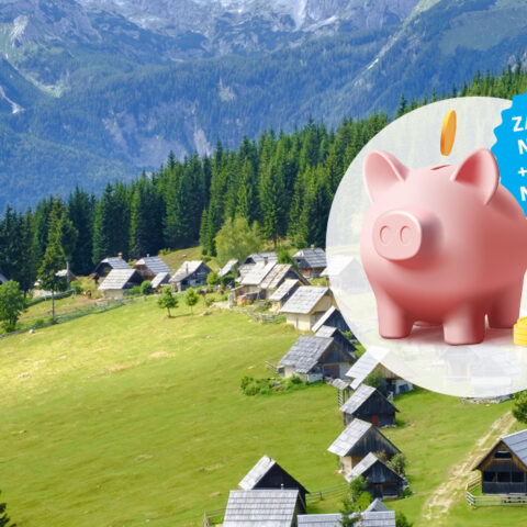 Akcijska ponudba zanesljivi plin 25/1